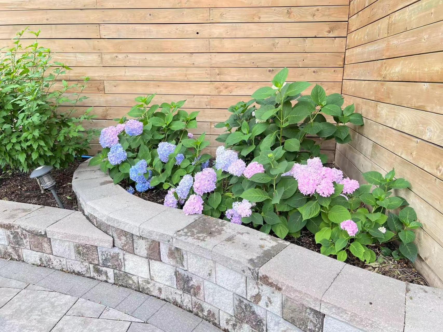 Cozy Ensuite King Bed Room Near Shops In North York Toronto Exterior photo